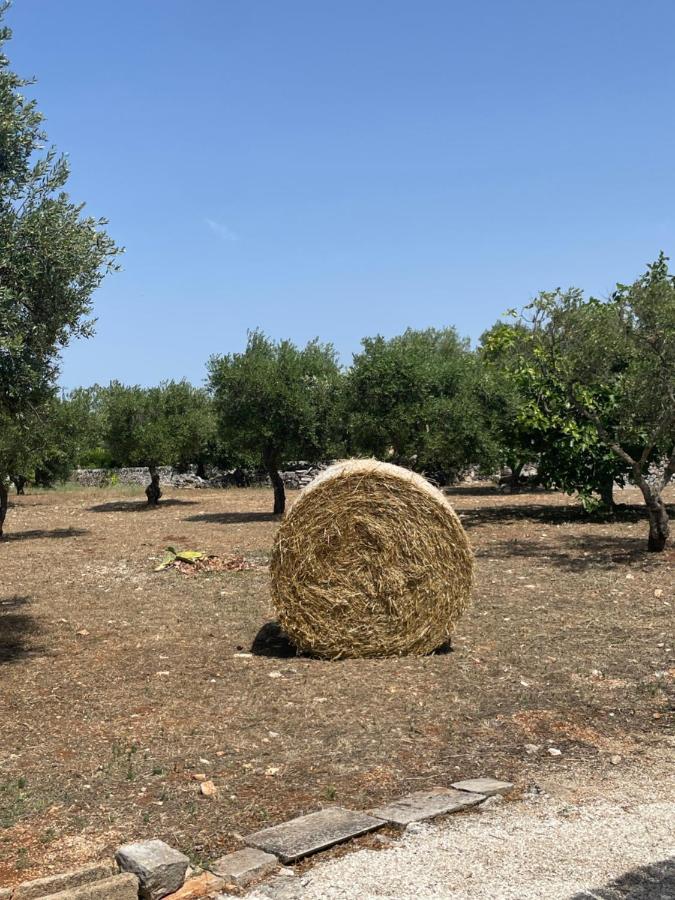 Trulli Mancinella Villa Locorotondo Exterior foto